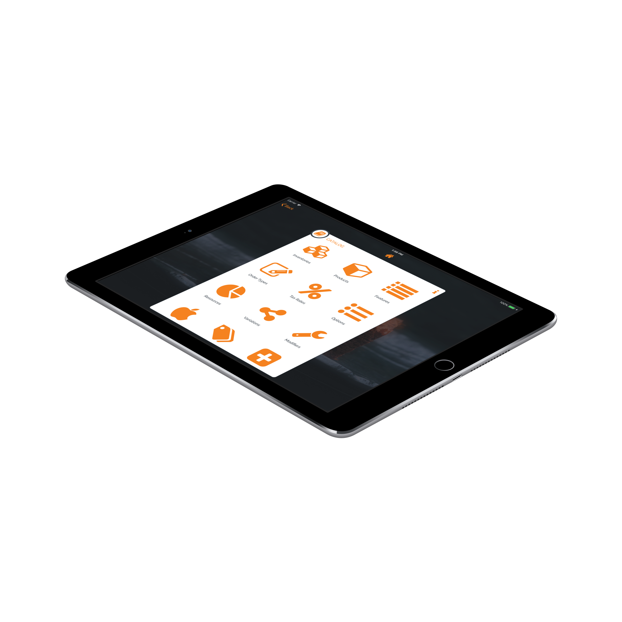 ipad catalog - PosApptive Mobile Point of Sale Software (POS)